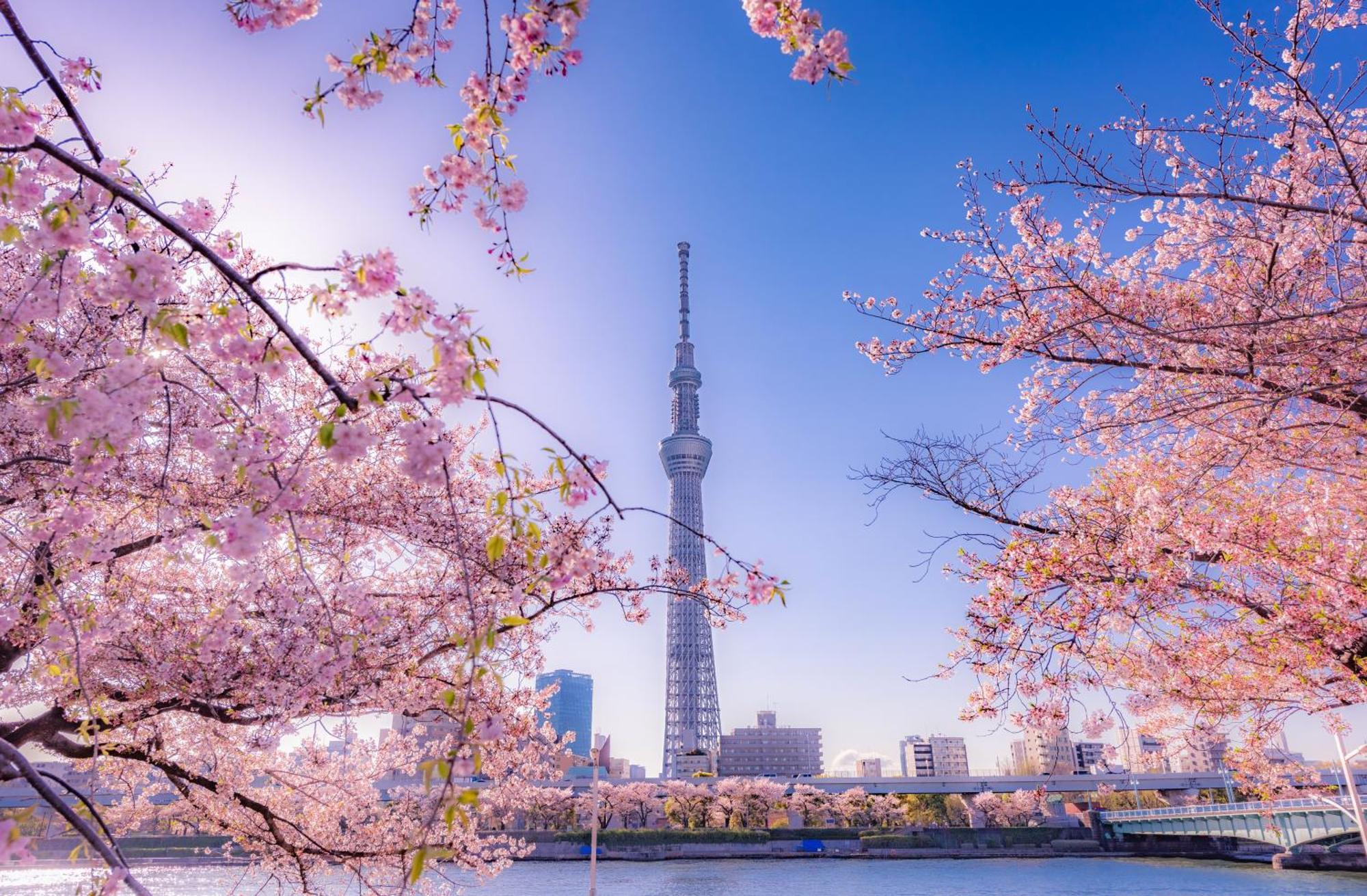 The Westin 5* Tokio